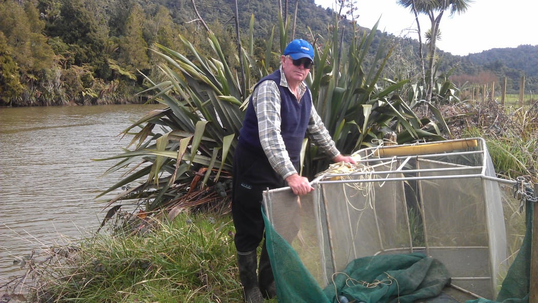 Ray Christiansen checks out whitebaiting nets on the Mokau River before the start of the season.