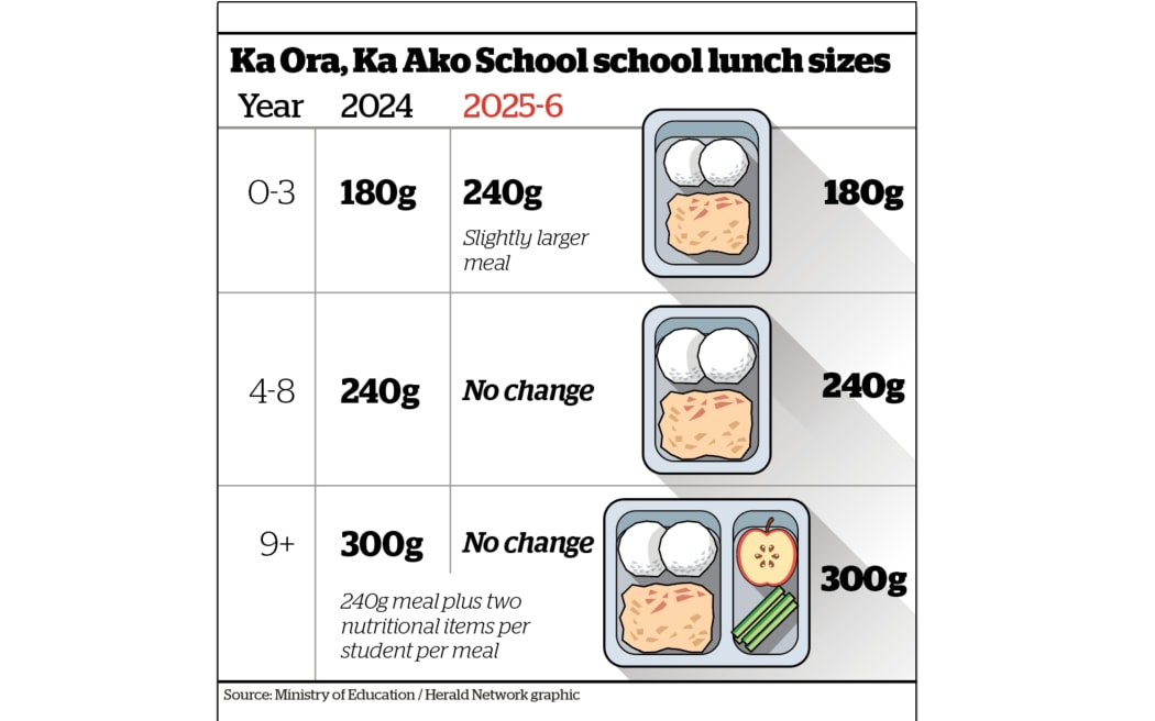 Ka Ora, Ka Ako School school lunch size requirements. Source / Ministry of Education.