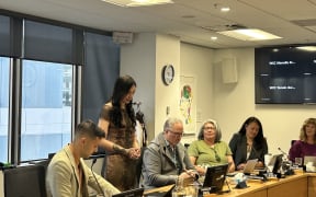 Tamatha Paul giving her valedictory speech at a Wellington Council meeting.