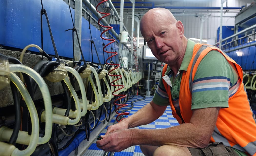 Farm manager John Ryrie is from Scotland, and has more than 20 years experience in the industry. Landcorp are moving into milking sheep.