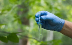 Gloved hands holding a test tube of clear liquid. Natural background - grass, trees. In vitro water, forests reflection. Concept - clean water, water quality, ecology, environment