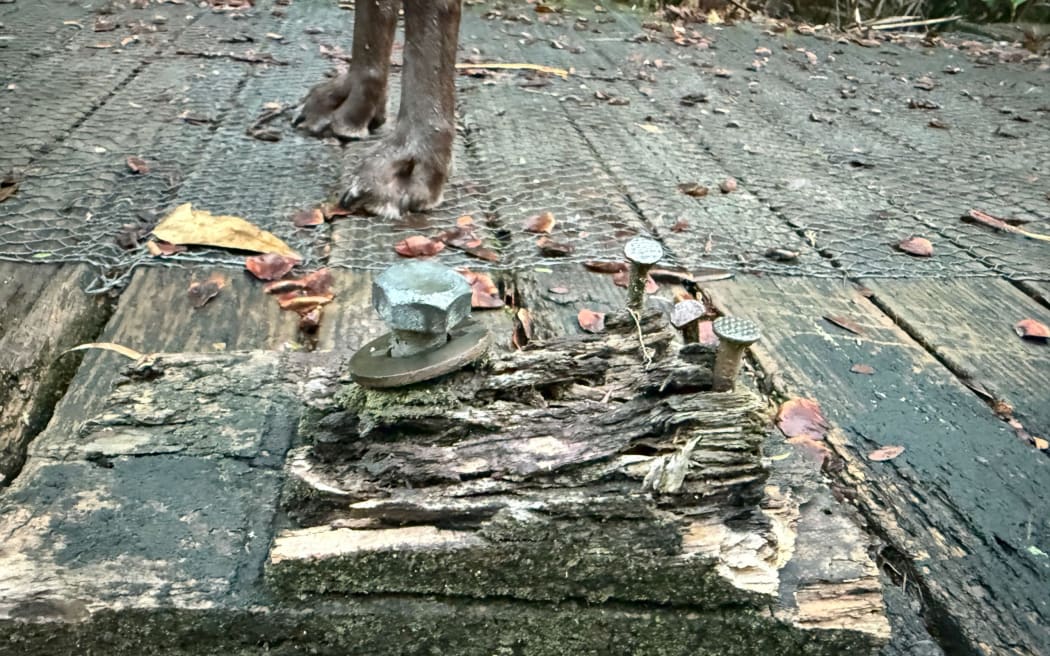 Protuding nails and screws are a common sight on some of the footpaths on Titirangi Rd.