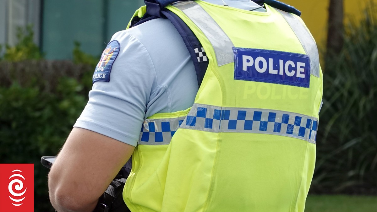 Man charged after two children kidnapped in Havelock North - Vimarsana News