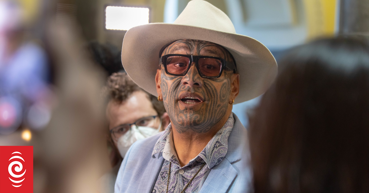 Te Pāti Māori accuses government, media of 'constant attack' on Treaty of ...
