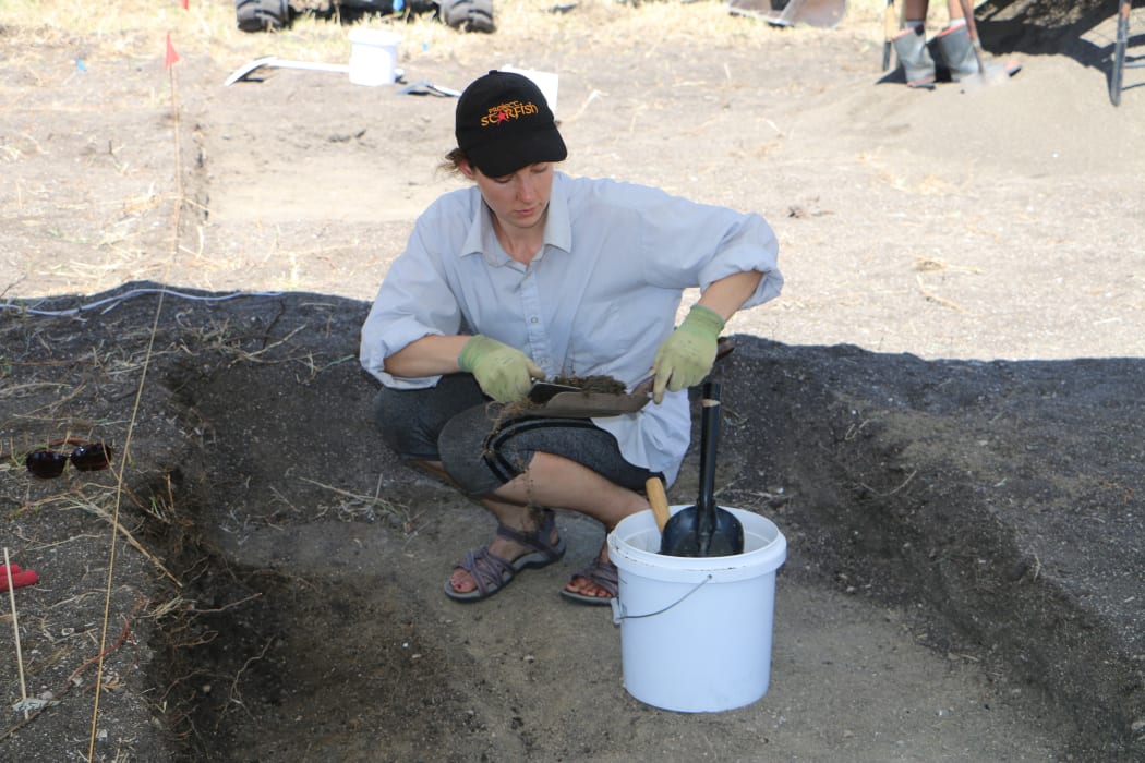 Workers and volunteers have been at the archaeological dig site at Mangahawea Bay on Moturua Island, Bay of Islands.