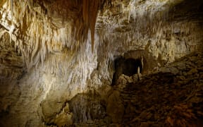 Waitomo Caves, North Island of New Zealand.