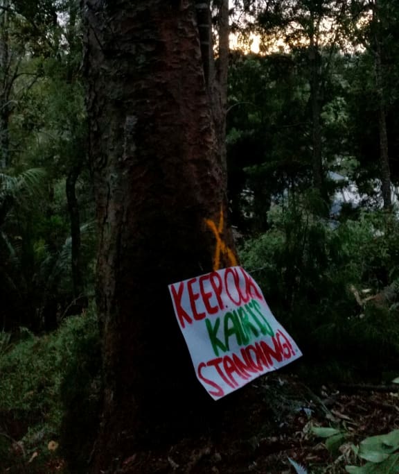 Kauri protest