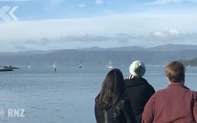 Fireworks display may be cancelled is whale stays put