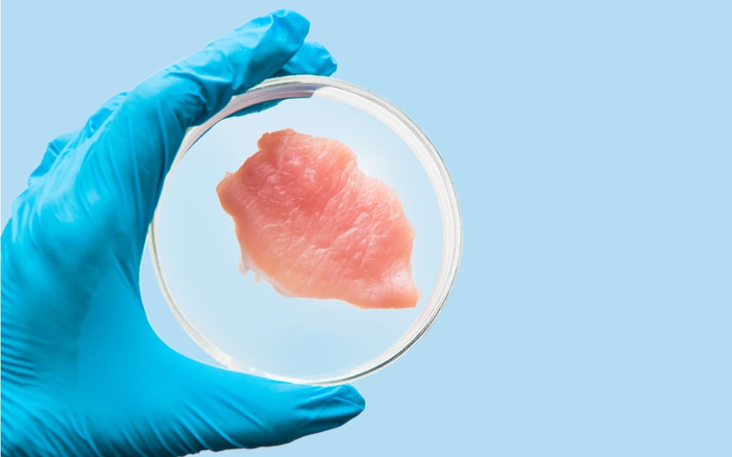 Caution urged over the safety of food grown in a lab RNZ