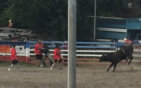Rodeo at Warkworth