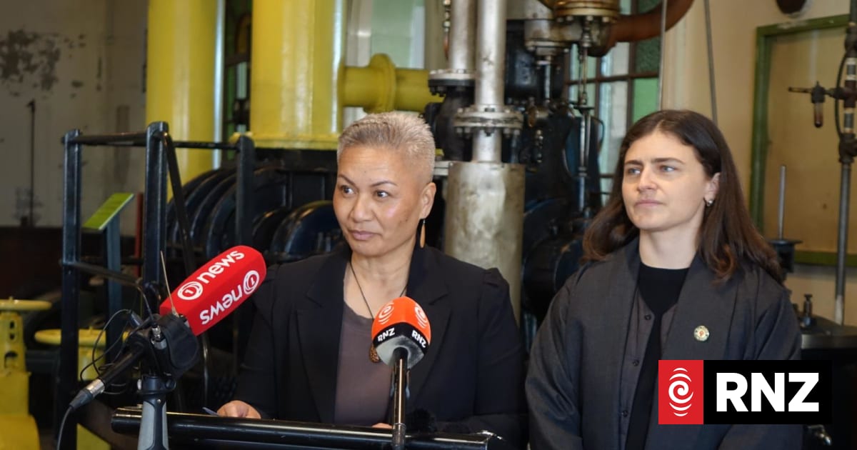 rnz.co.nz - RNZ | Te Reo Irirangi o Aotearoa - Greens promises to cut power bills and make solar more affordable with $980m 'KiwiPower' plan