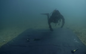 NRC marine biosecurity officer Toby Dickson checks the New Zealand-first caulerpa treatment trial he and the council team have newly set up in the Bay of Islands on 13 June 2023.