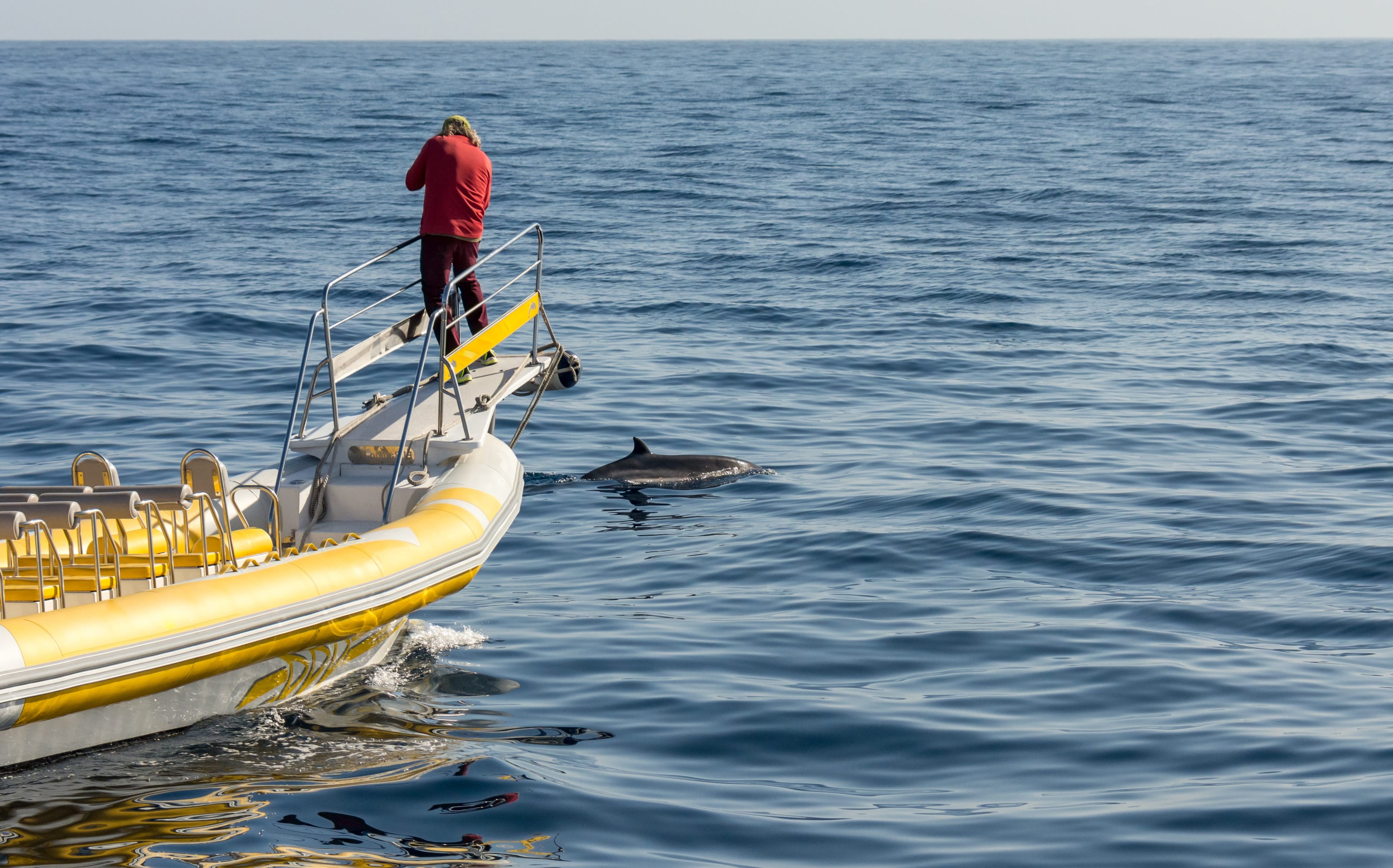 Marine biologist doing research and photographing marine life.