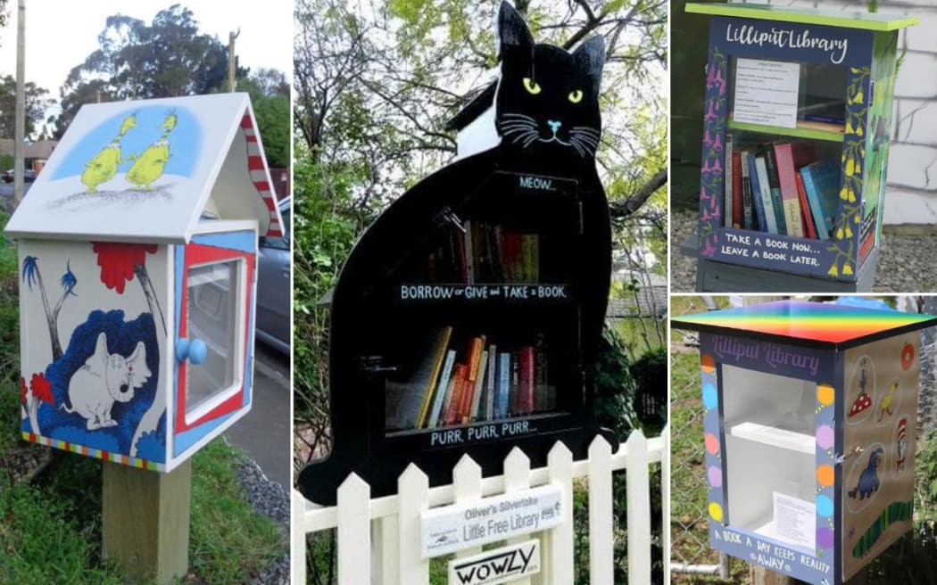 Lilliput Libraries have spread throughout the country thanks to Ruth Arnison.
