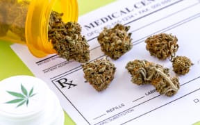Medical marijuana buds spilling out of prescription bottle with branded lid onto blank medical prescription pad on green background