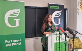 Marama Davidson announces Green Party's policy to return land wrongly taken from Māori.