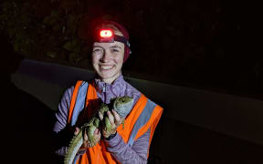 US student Cam Hoffbeck is studying a PhD in microbiology, with a focus on the gut biome of the tuatara.