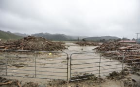 Tolaga Bay, heavy rain forced piles of wood onto farmland.