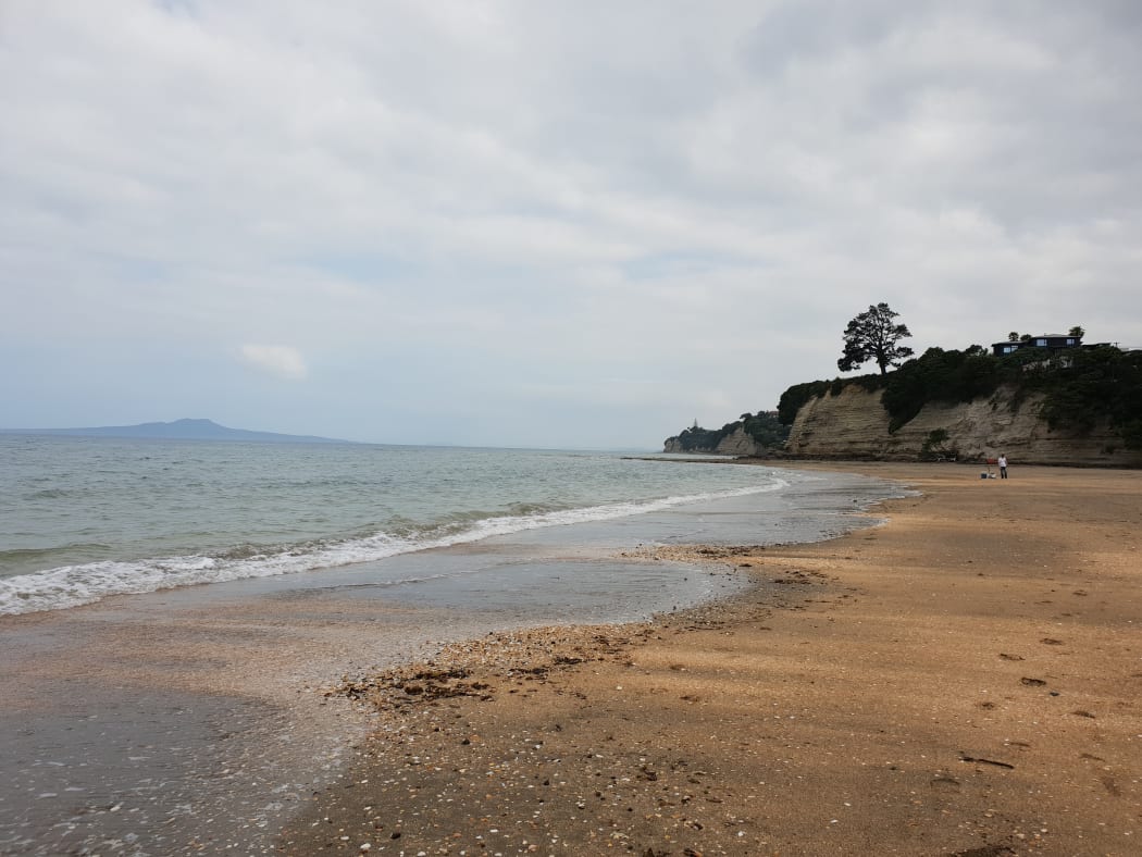 Auckland's Browns Bay.
