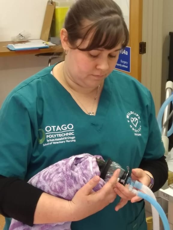 Senior Wildlife Vet Nurse Angelina Martelli with Kereru