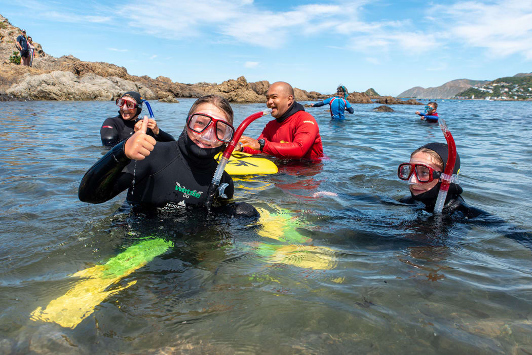 Mountain To Seas Wellington snorkelling programme