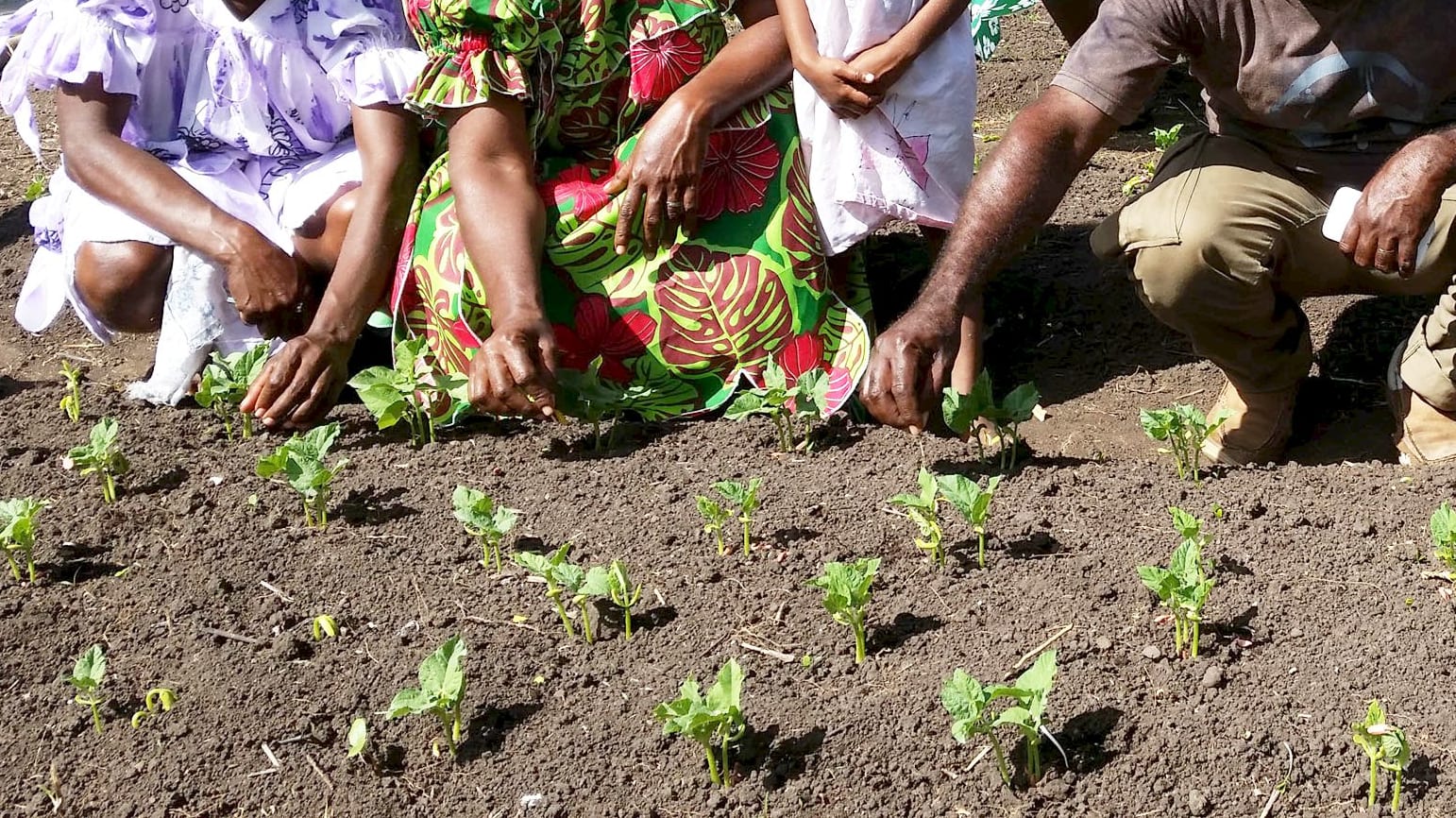 UNDP supported programme in Vanuatu to share farming techniques to improve resilience to climate change. Aug 2015.