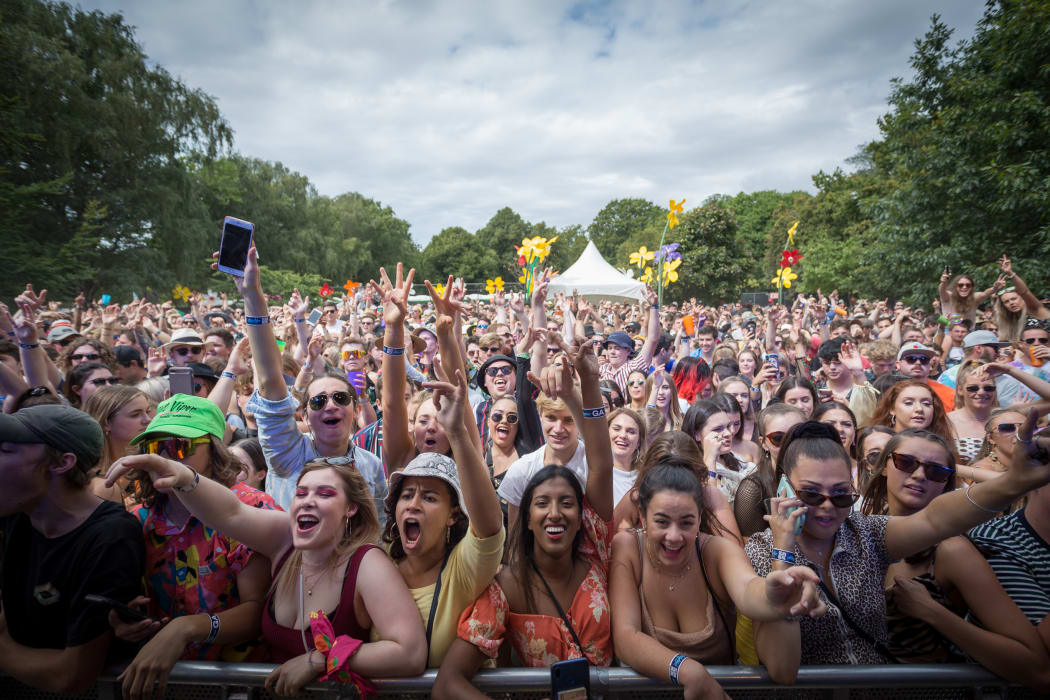 The crowd at Christchurch's Electric Avenue festival