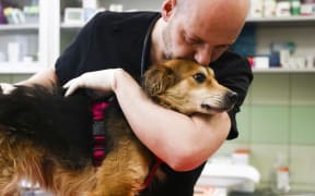 Radoslaw Fedaczynski, a vet and the owner of 'Ada' pet clinic is performing a medical examination of an injured dog from Ukraine. Przemysl, Poland on March 6, 2022. The clinic is giving a shelter and veterinary assistance for animals that had lost their home and owners during the Russian attacks on Ukraine. (Photo by Beata Zawrzel/NurPhoto) (Photo by Beata Zawrzel / NurPhoto / NurPhoto via AFP)