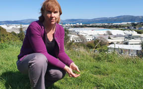 GNS Science radiocarbon scientist Jocelyn Turnbull is using grass to measure how much carbon dioxide is being emitted in New Zealand urban areas, such as Hutt City.