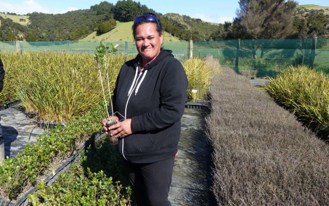 Te Arai nursery worker Missy Ashby-Teaupa.