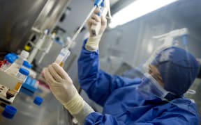 Scientists at the Malaghan Institute working on cancer immunotherapy.