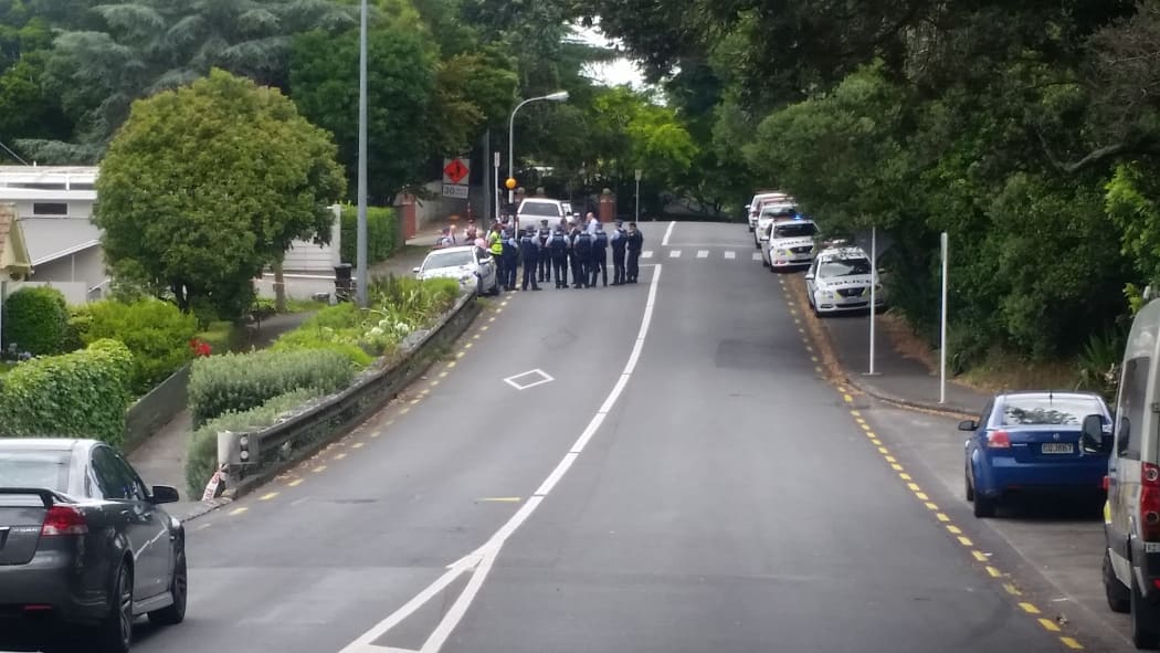 Police on Shore Rd, Remuera.