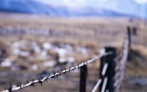Barbed wire fence at a farm