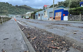 Heavy swells and debris on Wellington's south coast. Some Ōwhiro Bay residents took the precaution of boarding up garages overnight.