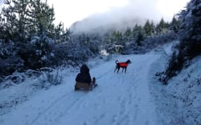 Heavy snow closed schools in Dunedin on Friday.