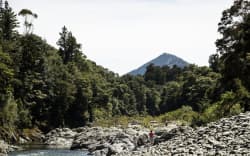The Pelorus Bridge Scenic Reserve  - single use