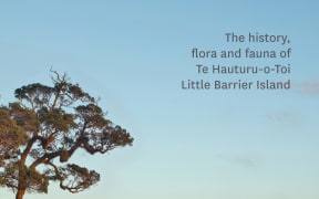 Little Barrier