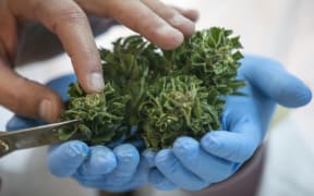 medicinal cannabis