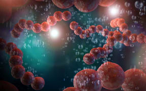 Strep throat also known as Streptococcus Pneumonia bacteria in mouth 3D digital illustration