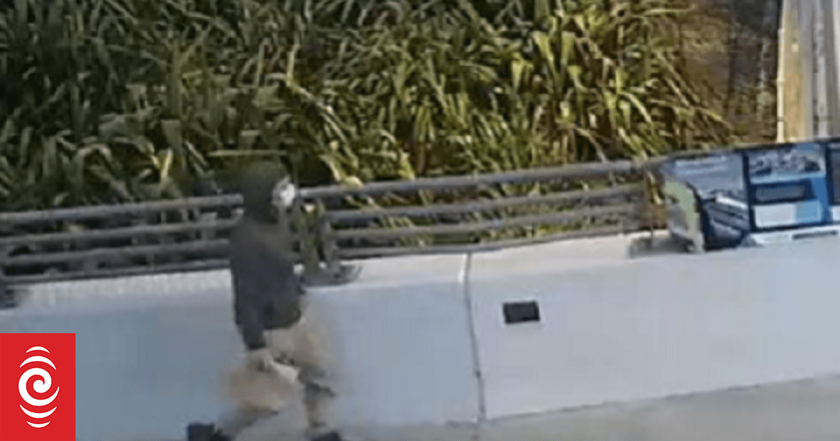 Police make fresh appeal for sightings of Tauranga man missing for a year - Vimarsana News