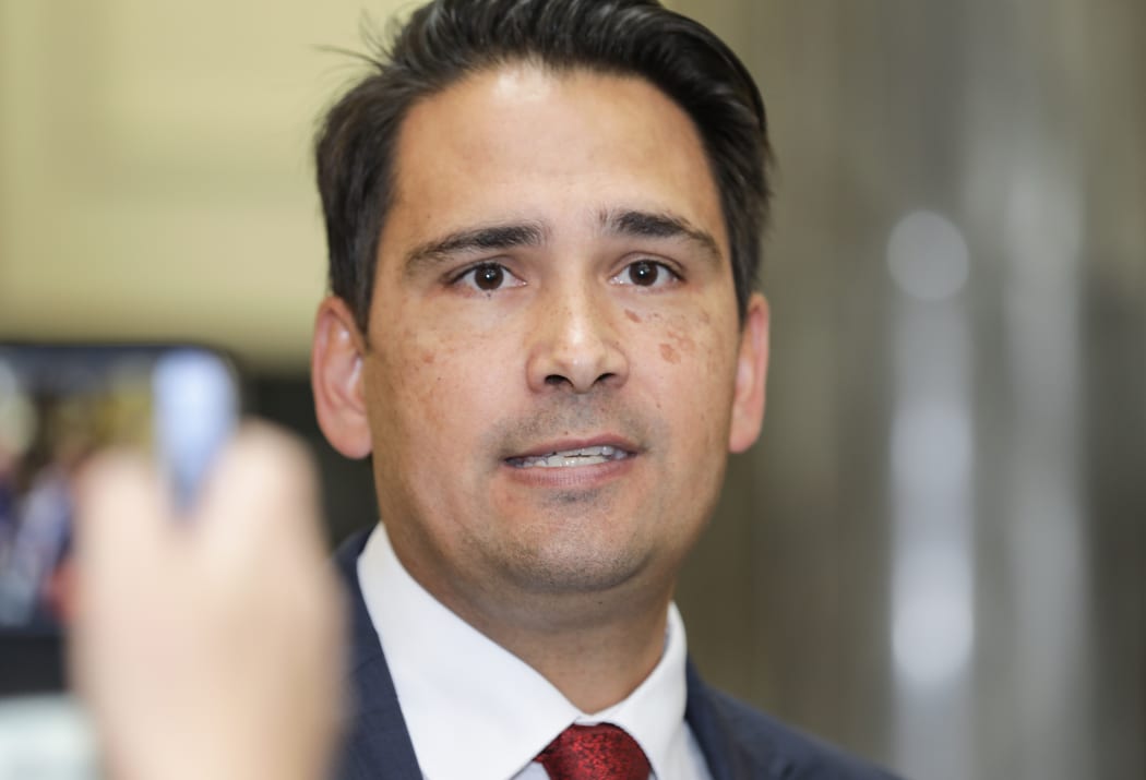 Simon Bridges will stand for National Party leader.