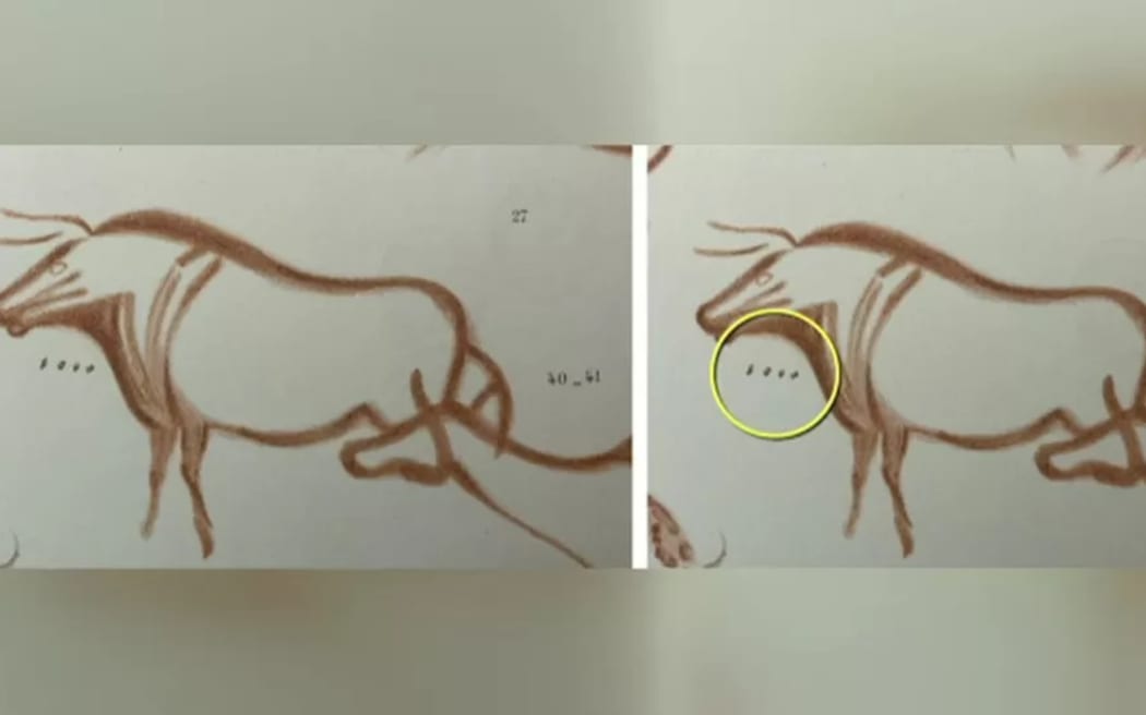 Dots like these from 23,000 years ago helped Ice Age hunter-gatherers survive.