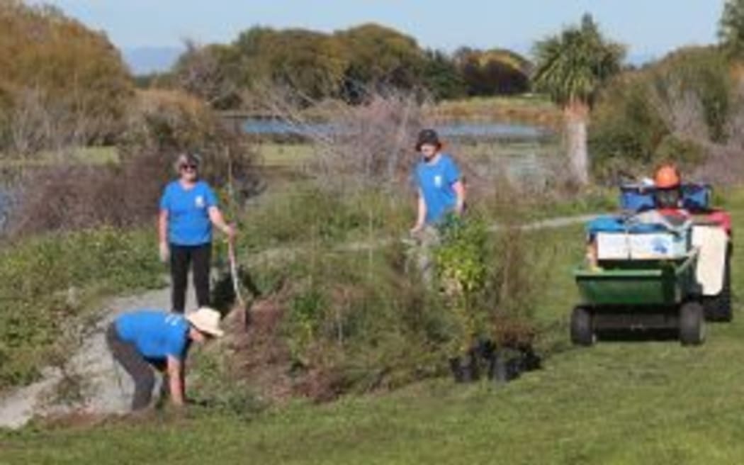 Planting at the lagoon in 2022.