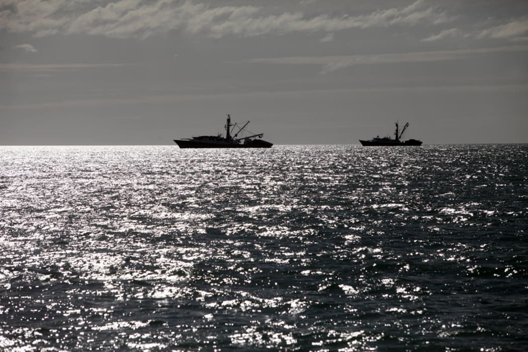 Commercial fishing boats in Tasman Bay, Nelson