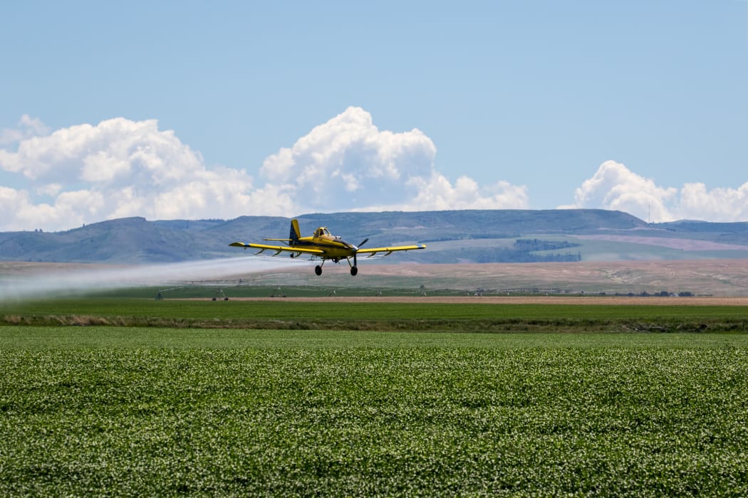 Top dressing plane, crop dusting.