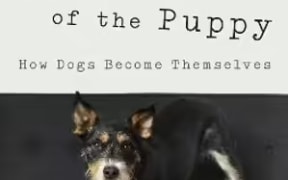 The Year of the Puppy book cover
