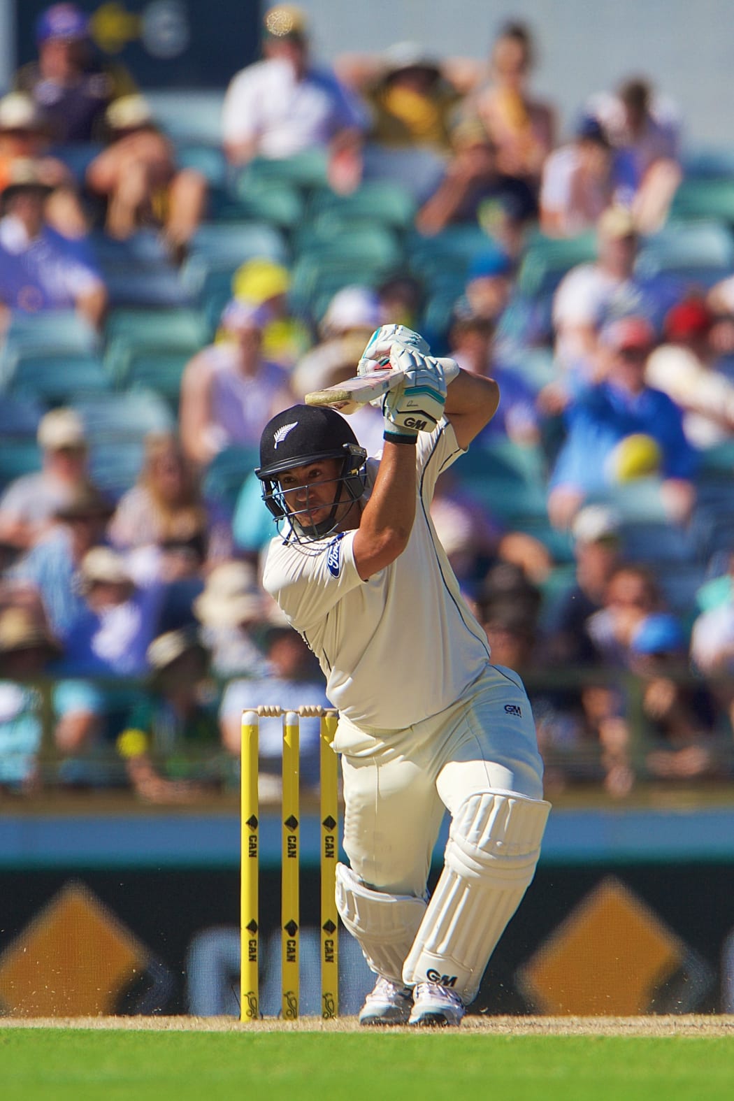 Ross Taylor of the New Zealand Black Caps drives during Day 3 on the 15th of November 2015. The New Zealand Black Caps tour of Australia, 2nd test at the WACA ground in Perth, 13 - 17th of November 2015.