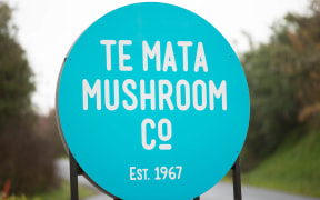 Te Mata Mushroom Company in Havelock North