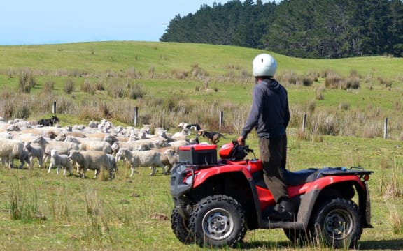 Quad bike, quad bikes