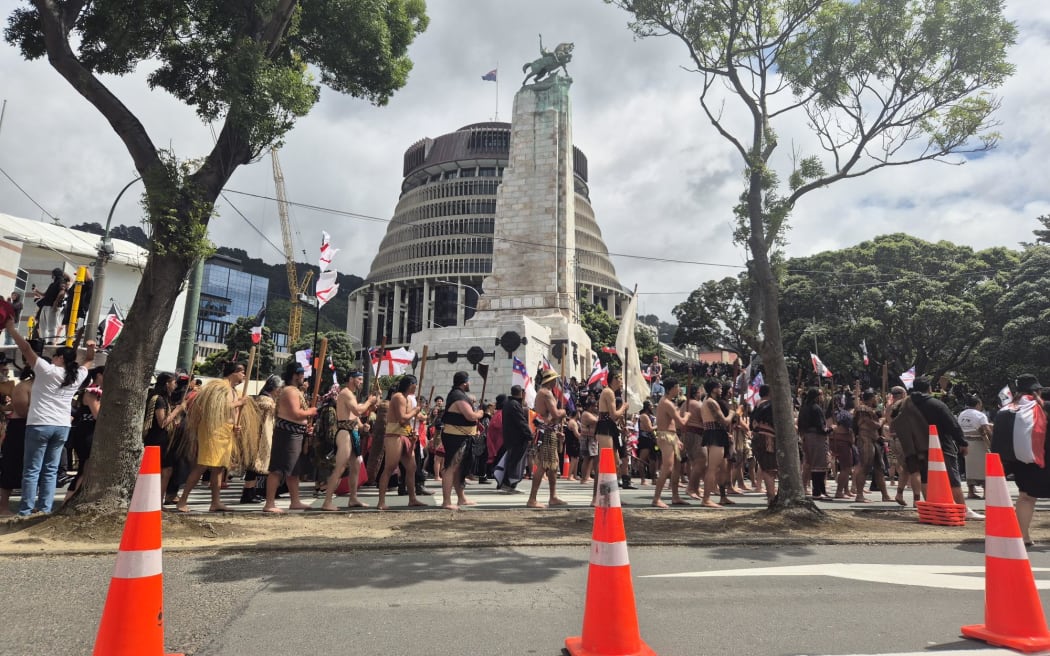Welly hikoi
